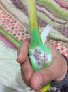 87C1C223-9548-4D38-8DAA-AE904C93E7D1.jpeg