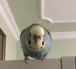 416D2BD6-634F-4B65-907F-07F2CA2FD4CD.jpeg