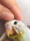 68A75070-E3D0-47BB-8A88-158B4E164280.jpeg