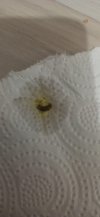 e196e871-dc7b-4b5c-a6ca-1d44ddb38ef3.jpg