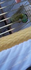 20210327_131903.jpg