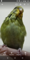Screenshot_20210331-153345.png