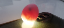 Screenshot_11.png