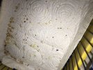 C223BF15-3179-4F09-80C9-6D13327568A6.jpeg