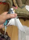 69C5D54E-EC3F-4B6E-91A5-A301C22633AC.jpeg