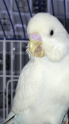 8DD6EAA9-D587-4009-A90D-495485740B05.png