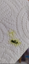 resim_2021-05-03_222319.png