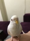 BAEDD0AE-F46E-46BC-8FE6-07434A07B533.jpeg