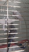 IMG-20210622-WA0021.jpeg