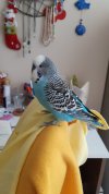 IMG-20210626-WA0017.jpeg