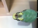 16315293-8143-4672-B05F-61DBFEAB9D74.jpeg