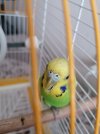 IMG_20210718_172900-min.jpg