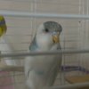 IMAG0745_1.jpg