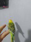 IMG_20211219_110252.jpg