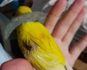 20220227_055732.jpg
