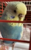 F7264116-79BD-410C-A618-FE8FFA743DB4.jpeg