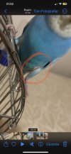 D276A4CB-5D1A-4C55-9091-1C8EEF00CF7C.jpeg