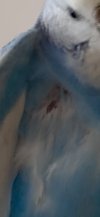 B24E432B-5AB8-4AA5-996C-539A23D175B5.jpeg