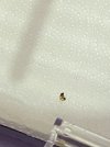 IMG_4057.jpeg