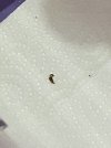 IMG_4061.jpeg