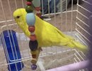 IMG_4062.jpeg