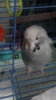 20170125_201957.jpg