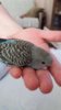 20170129_143313.jpg