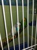 20170204_085625.jpg