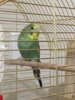 thumbnail_IMG_9188.jpg