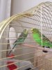 thumbnail_IMG_9193.jpg