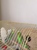 thumbnail_IMG_9195.jpg