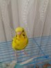 20170212_161112.jpg