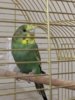 thumbnail_IMG_9185.jpg