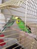 thumbnail_IMG_9191.jpg
