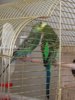 thumbnail_IMG_9197.jpg