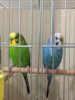 thumbnail_IMG_9203.jpg