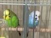 thumbnail_IMG_9204.jpg