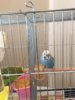 thumbnail_IMG_9211.jpg