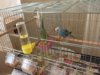 thumbnail_IMG_9218.jpg