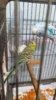20170214_193806.jpg