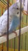 20170216_150453.jpg