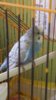 20170216_150513.jpg