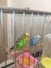 thumbnail_IMG_9209.jpg