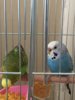 thumbnail_IMG_9216.jpg