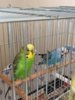 thumbnail_IMG_9340.jpg