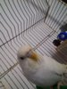 P_20170218_104851_BF.jpg