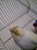 P_20170218_104844_BF.jpg