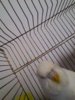 P_20170218_104832_BF.jpg