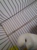 P_20170218_104830_BF.jpg