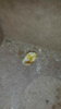 IMG-20170217-WA0002.jpeg